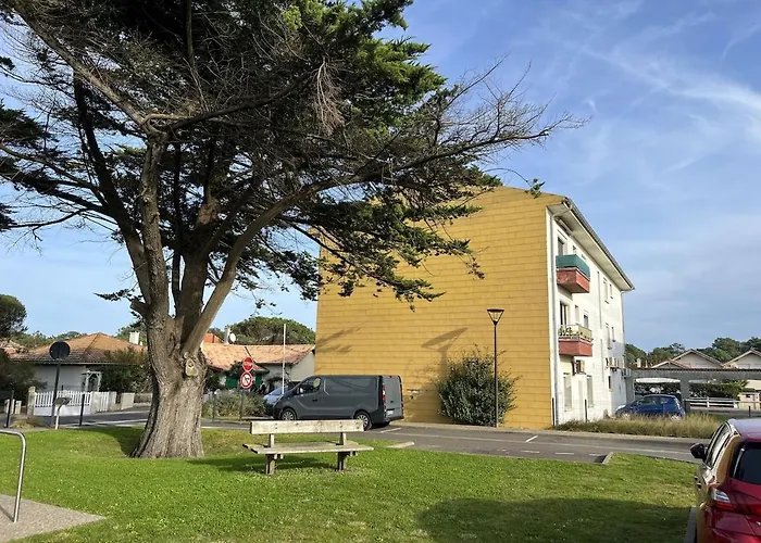 Familial Proche Des Plages